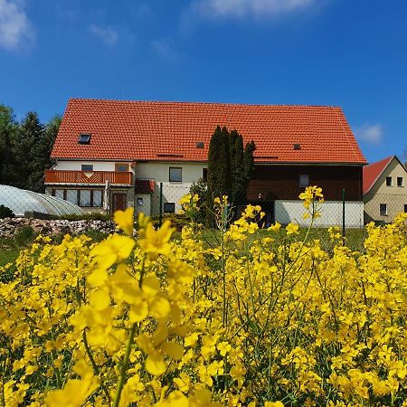 Alte Schaeferei Bad Gottleuba Villa Eksteriør billede