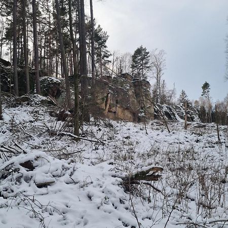 Alte Schaeferei Bad Gottleuba Villa Eksteriør billede