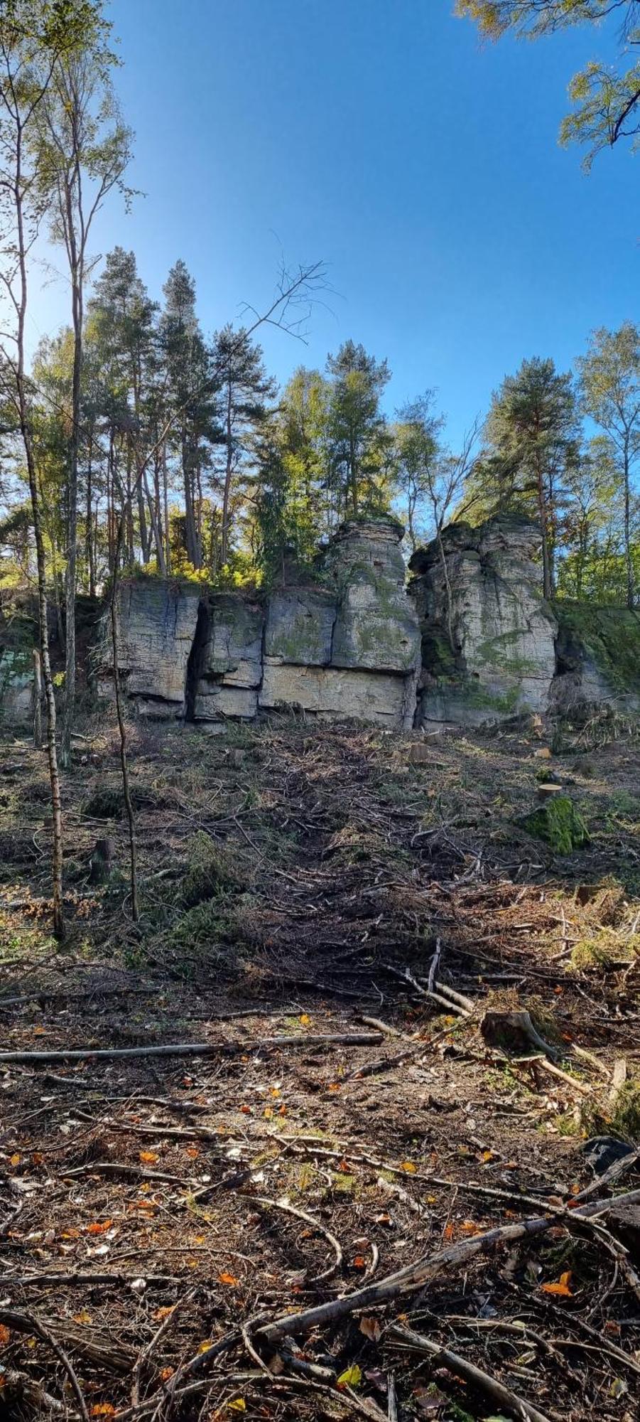 Alte Schaeferei Bad Gottleuba Villa Eksteriør billede
